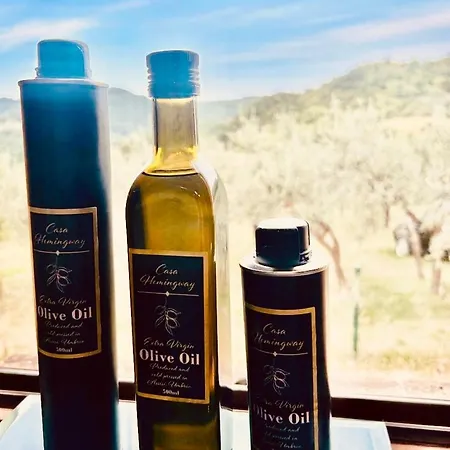 Casa Hemingway, Near Assisi * Armenzano